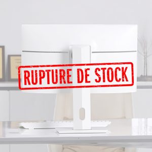 POSLUX G24-511 – PC All-in-One 23.8", Intel Core i5-1135G7, 8 Go RAM, SSD 256 Go, Support VESA